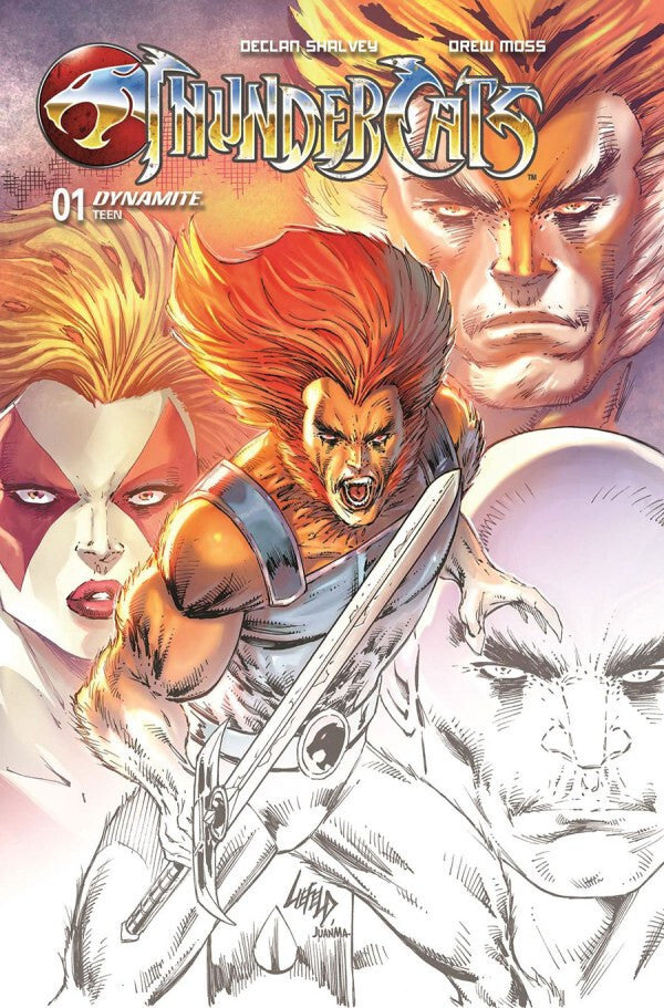 THUNDERCATS #1 NM 2ND PRINT LIEFELD CONTRAST COVER DYNAMITE COMICS 2024