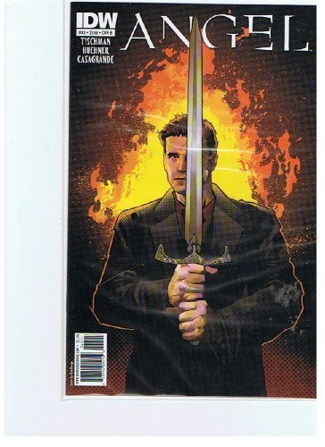 ANGEL #43 COVER B IDW NM 1st PRINT