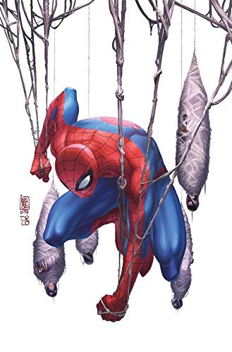 SPIDER-MAN MASTER PLAN #1 CAMUNCOLI VAR NM 1ST PRINT