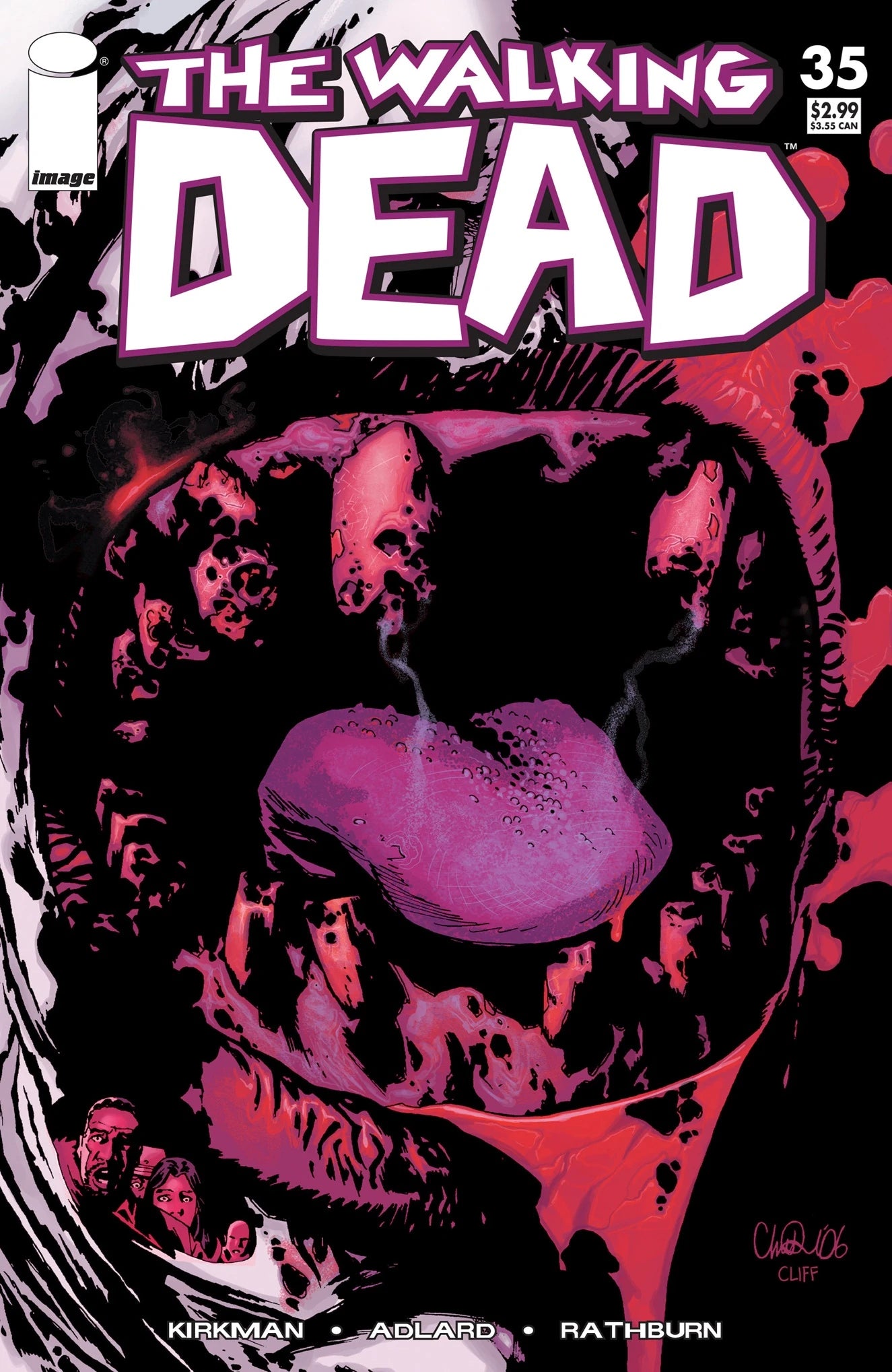 Walking Dead #35 NM with top loader