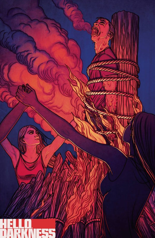 HELLO DARKNESS #2 NM 1ST PRINT FRISON VARIANT BOOM STUDIOS 2024