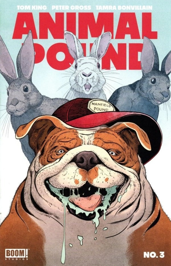 ANIMAL POUND #3 NM 1ST PRINT MAIN COVER BOOM! STUDIOS 2024