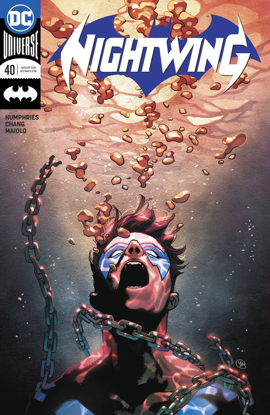 NIGHTWING #40 VARIANT ED DC  NM