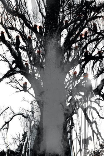 SCALPED #49 JASON AARON AND R M GUERA NM 1ST PRINT