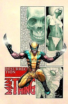 SAVAGE WOLVERINE #4 FRANK CHO NM 1ST PRINT