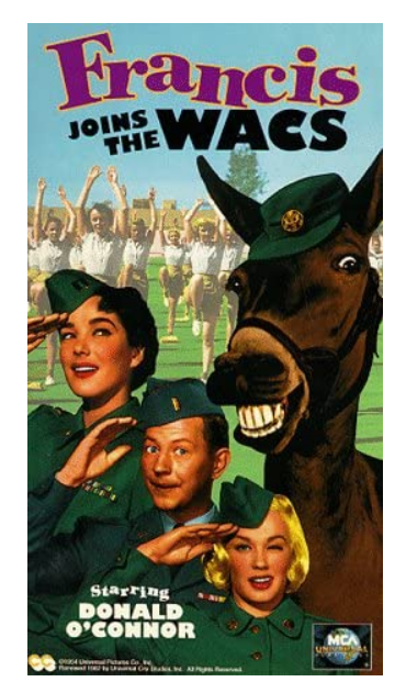 VHS VARIOUS TITLES WEIRD STUFF CREEPY STUFF FUNNY STUFF ANIME STUFF YOU PICK!