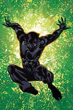 BLACK PANTHER ANNUAL #1 STELFREEZE VARIANT MARVEL COMICS Marvel NM 1st PRINT