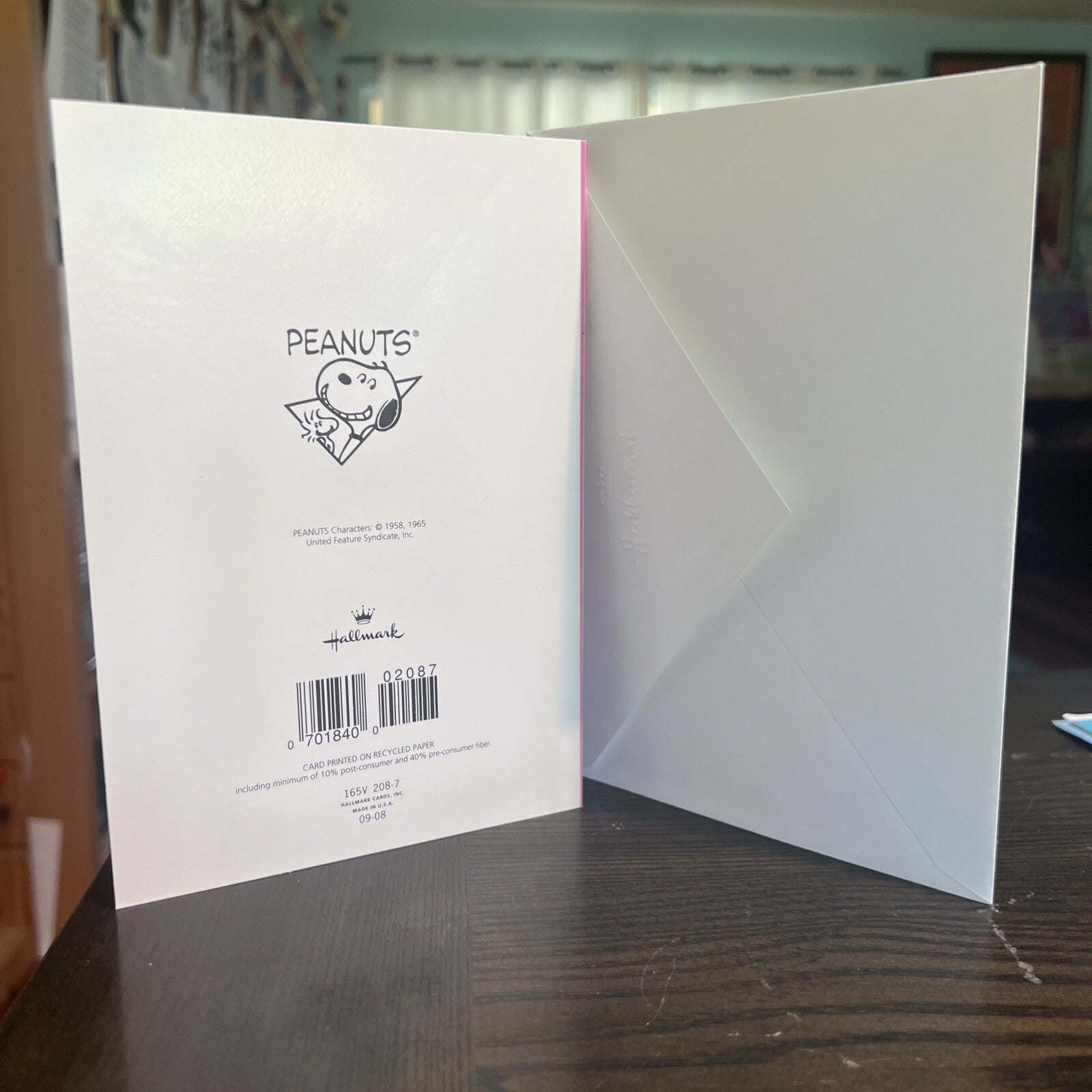 Peanuts Snoopy Woodstock Hallmark Greeting Card 7" x 4.75" Valentines Day + Env