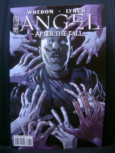 ANGEL AFTER THE FALL #8 COVER A IDW  NM 1st PRINT