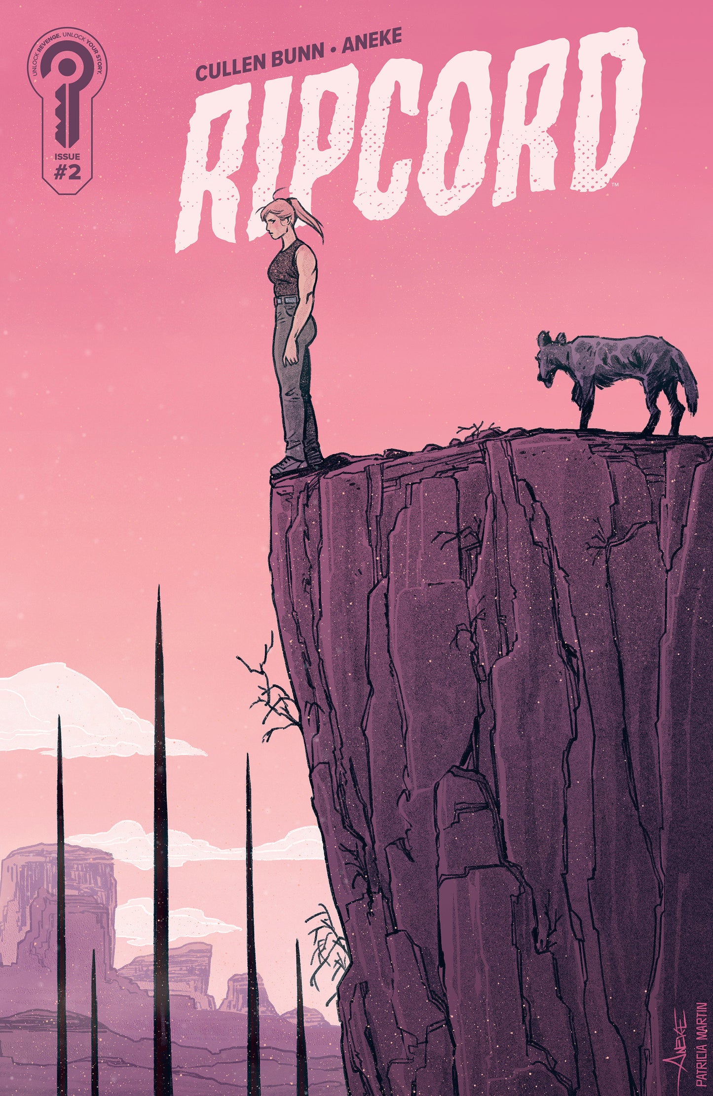Ripcord #2 Cover B Aneke (STANOWAR)