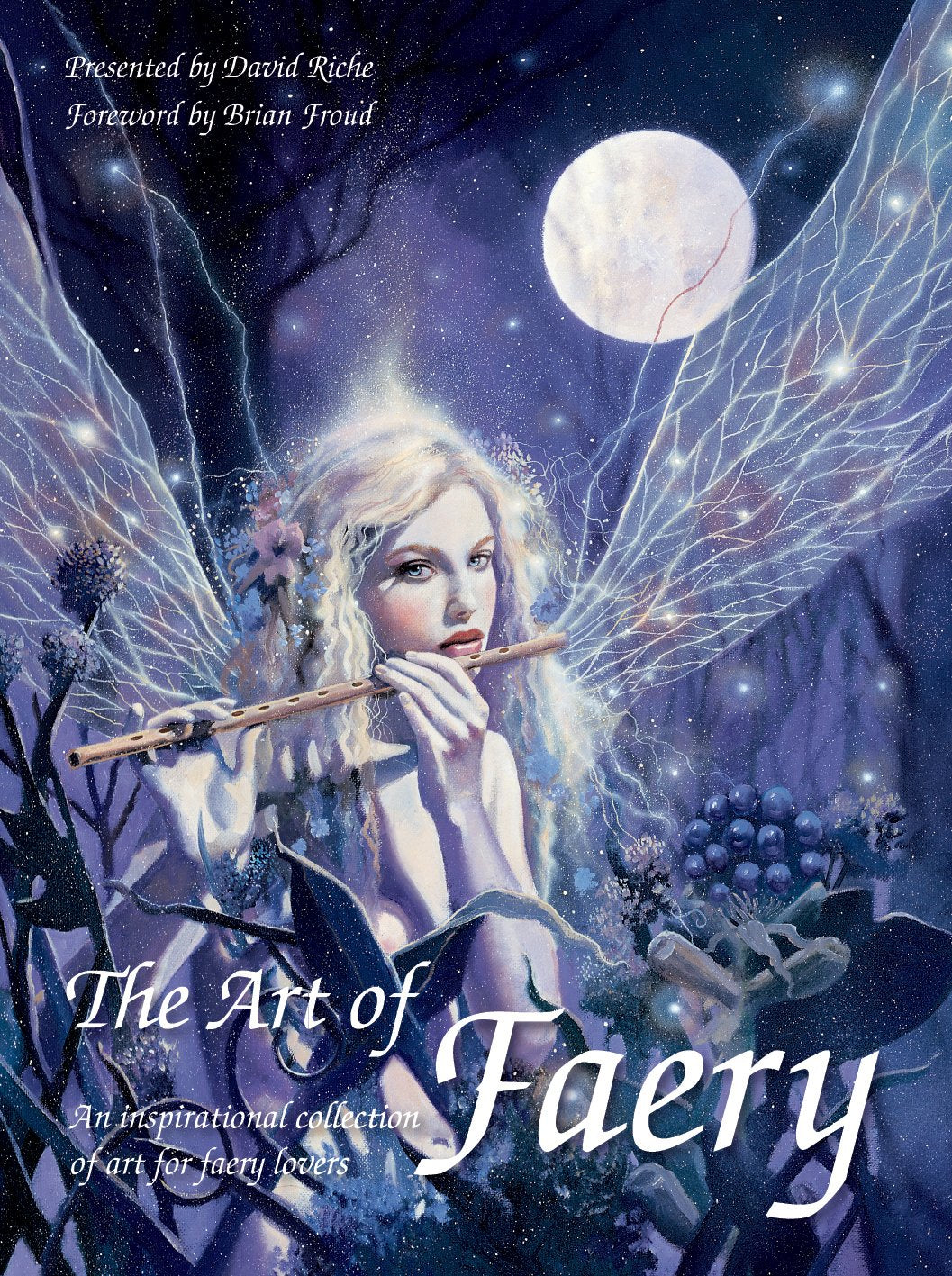 The Art of Faery by David Riche Paperback Book